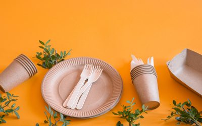 Ce tipuri de farfurii de carton există pe piață în prezent?