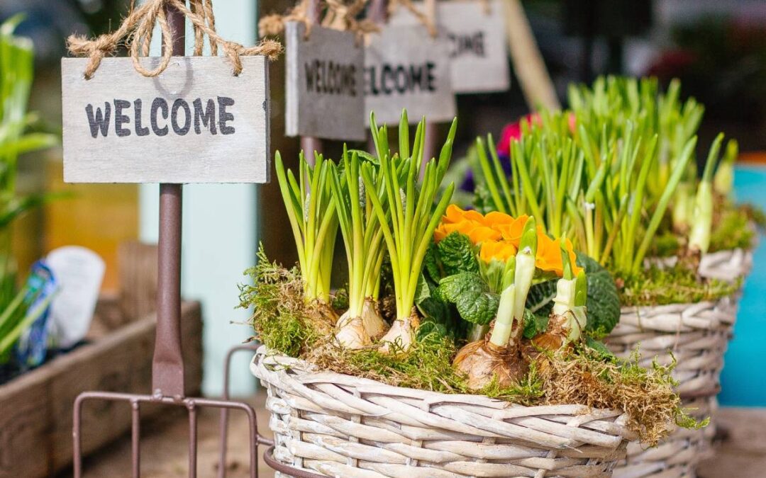 Cele mai bune 9 ponturi pentru o afacere de gradinarit lansata primavara