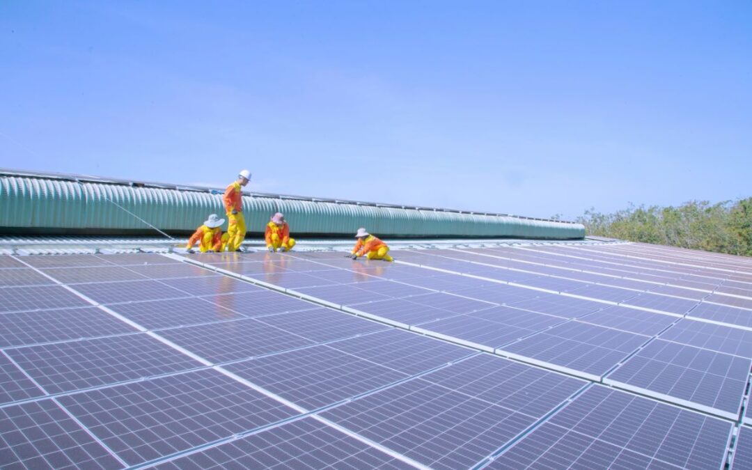 5 motive pentru care merită să alegi panouri fotovoltaice