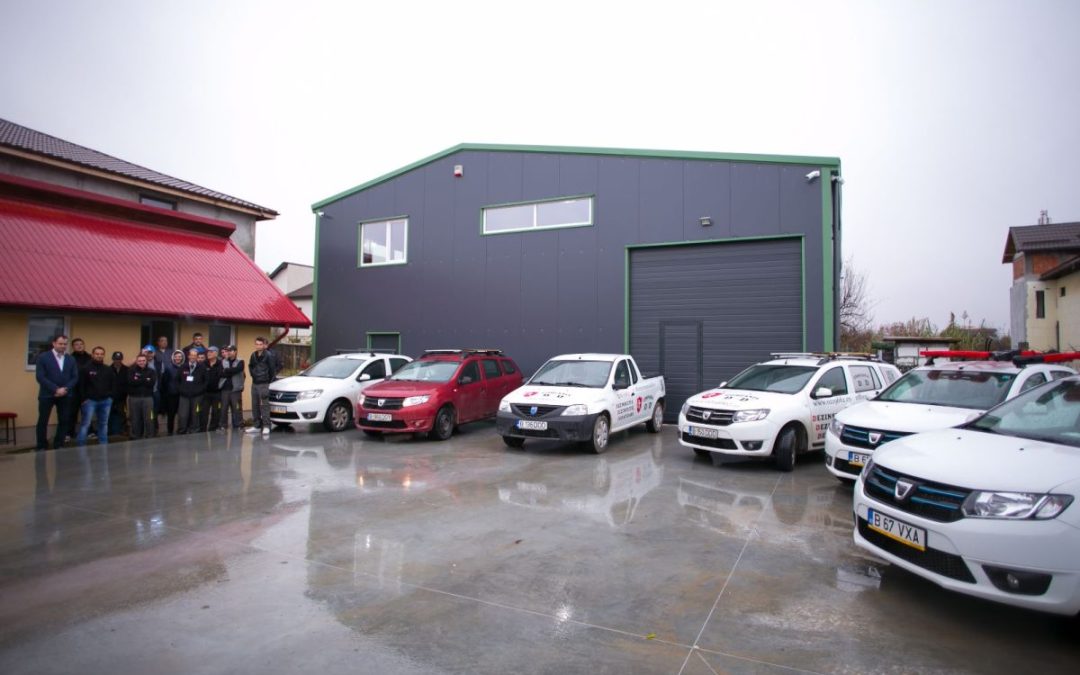 Cele mai întâlnite greșeli pe care le fac proprietarii când încearcă să facă singuri dezinsecția împotriva țânțarilor și muștelor