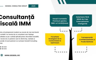 Consultanță fiscală IMM