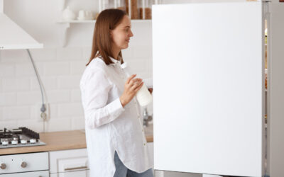 Cum procedam atunci cand frigiderul a incetat sa mai  raceasca?