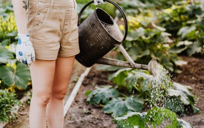 Cum să-ți pregătești grădina pentru un sezon agricol productiv?