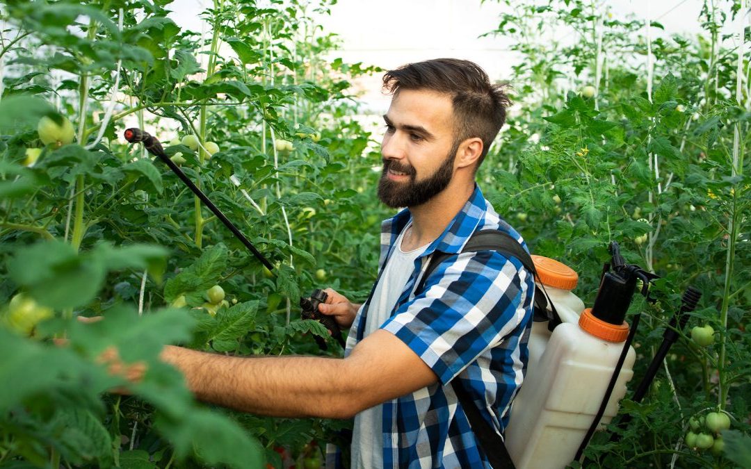 Acasa 2 Cum te ajută fungicidele să previi pierderile de recoltă