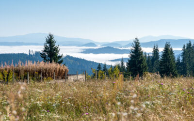 De ce din ce in ce mai multi turisti viziteaza judetul Bistrita Nasaud?