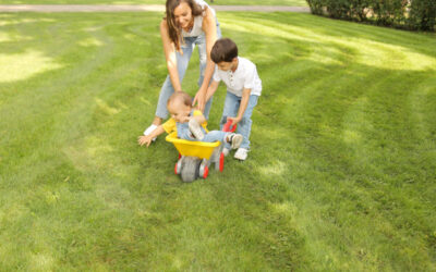 Grija de care gazonul are nevoie vara, pentru a te bucura la maxim de el