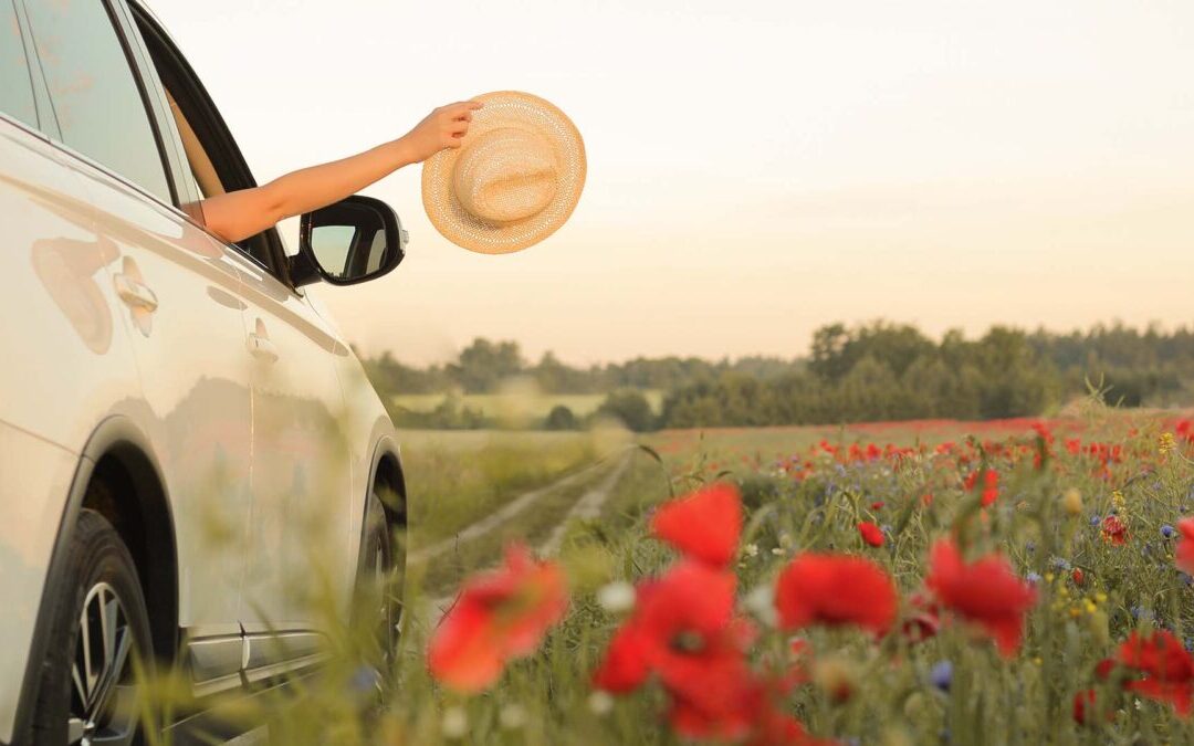 Patru lucruri ce pot fi schimbate odată cu venirea primăverii