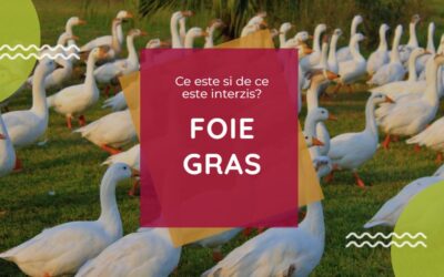 Ce este foie gras si de ce este interzis?