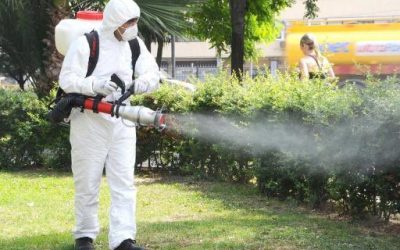 Scăpați de ploșnițe definitiv! Descoperiți beneficiile dezinsecției