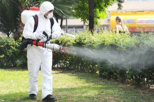 Scăpați de ploșnițe definitiv! Descoperiți beneficiile dezinsecției