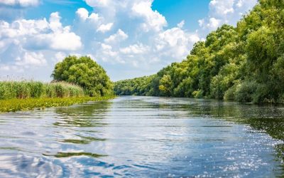 Cum te poate ajuta o vacanță în Delta Dunării să te relaxezi complet