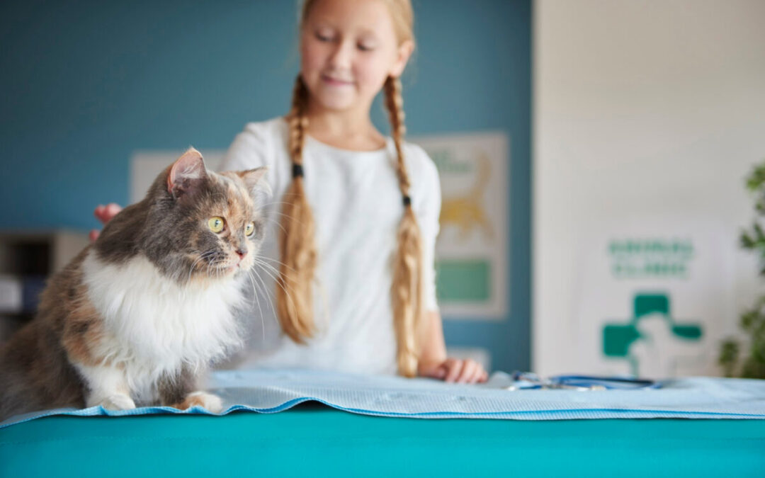 De ce sunt animalele de companie importante pentru oameni?