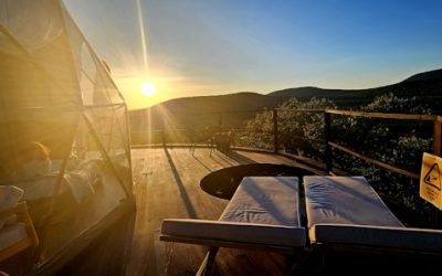 glamping in Bucovina pentru articolul Cum sa transformi o iesire la cort intr o vacanta de 5 stele