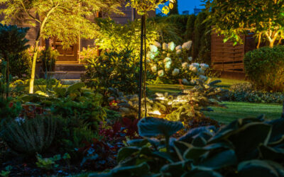 Grădini de poveste în curți mici: Soluții de peisagistică ingenioase