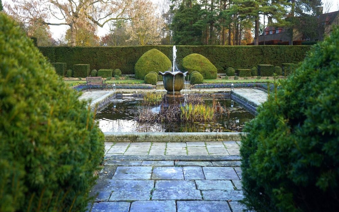 5 idei spectaculoase prin care să oferi personalitate curții tale