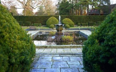 5 idei spectaculoase prin care să oferi personalitate curții tale