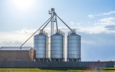 Eficiență în agricultură: Cum să îți reduci costurile și să îți crești profitul cu ajutorul silozurilor pentru cereale