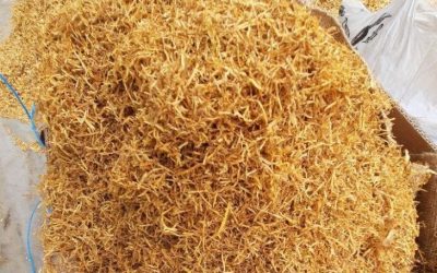 Cum a influentat o planta faimoasa economia si sanatatea lumii